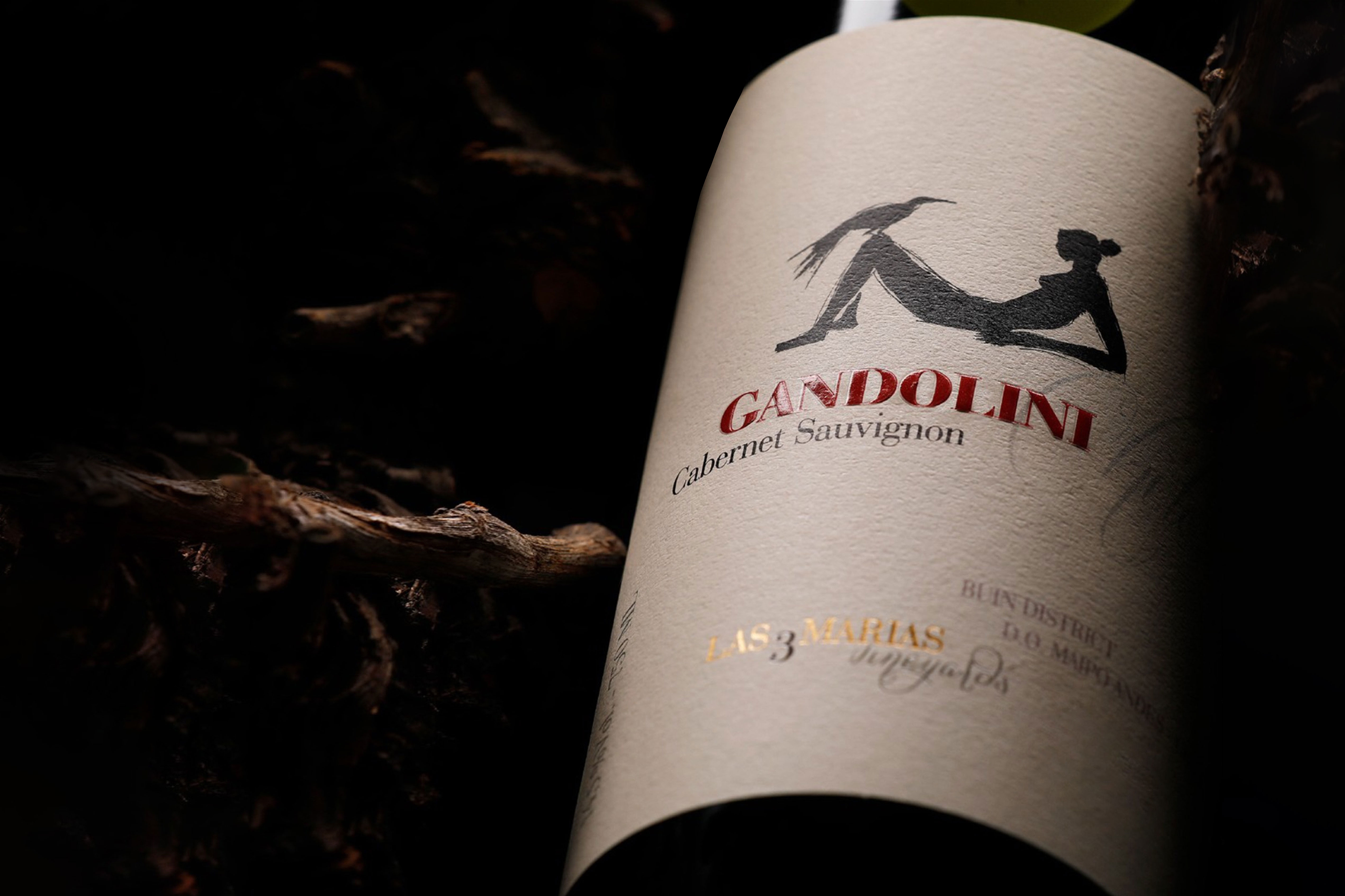 Gandolini : Secure the future of Chile’s finest Cabernet